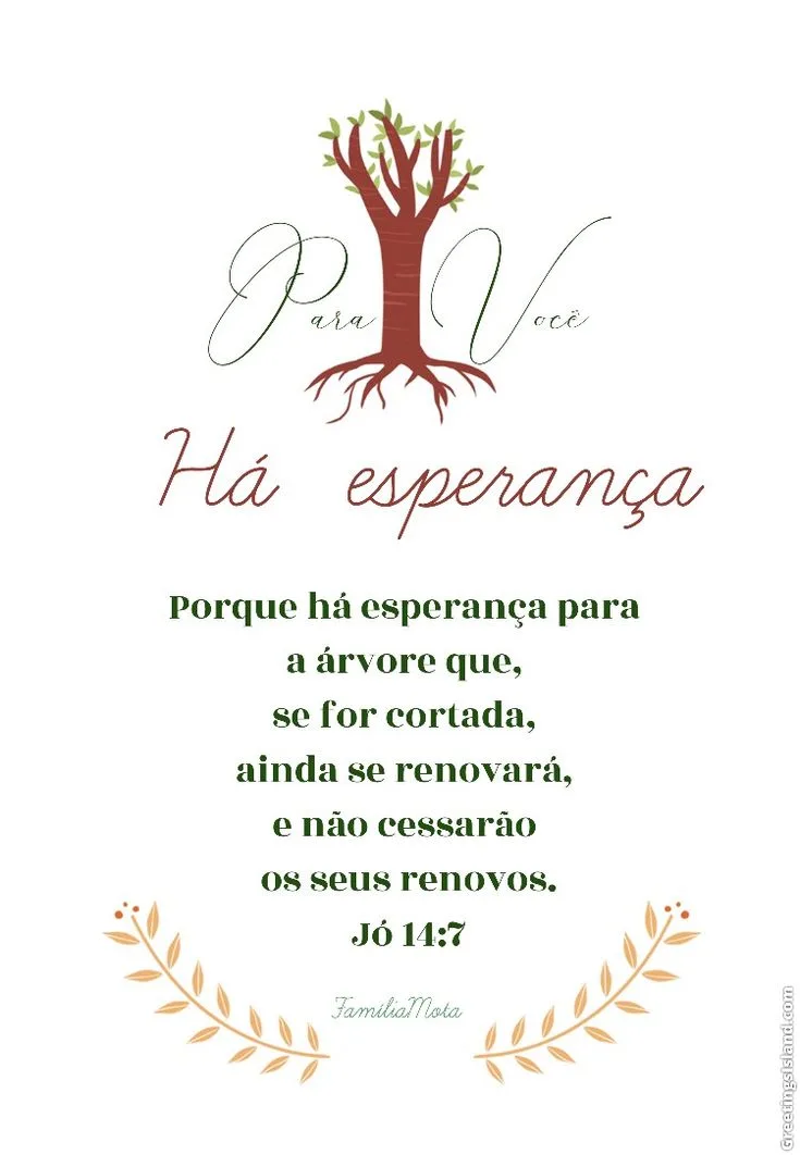 Me ajude a recomeça  — imagem 1