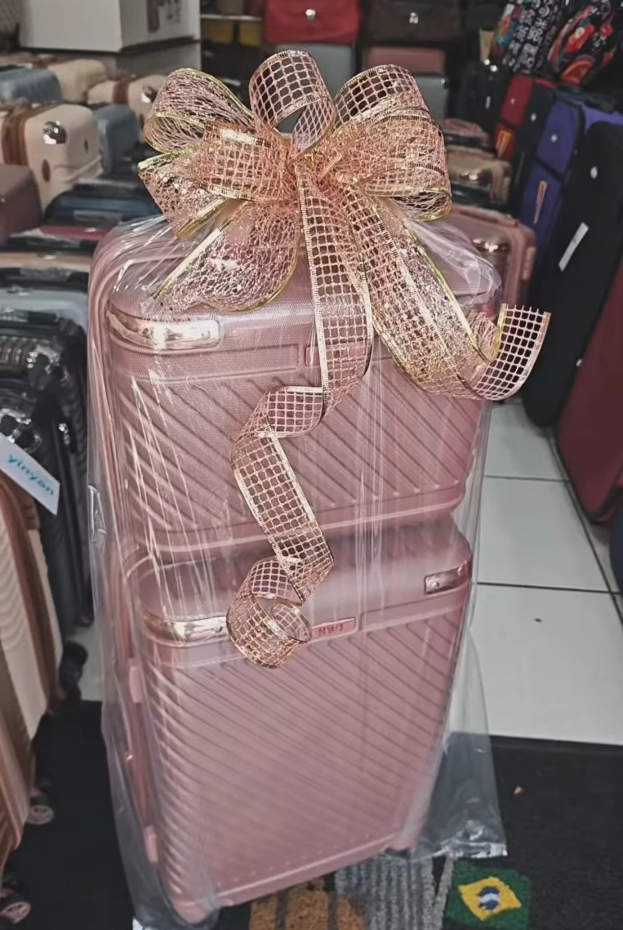 Conjunto de Mala 10kg e Frasqueira G