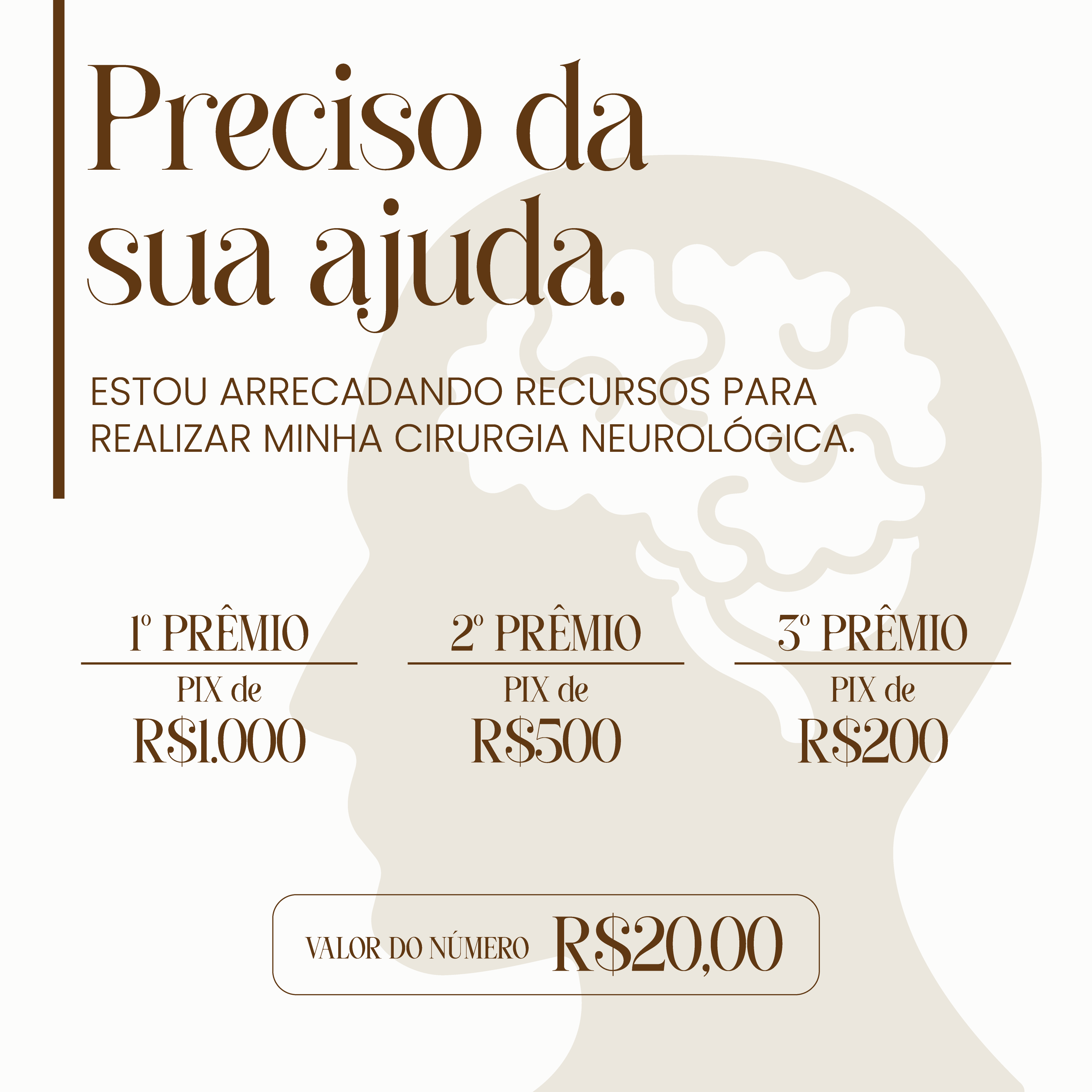 Prêmios em PIX | Ajuda para Cirurgia Neurológica — imagem 1